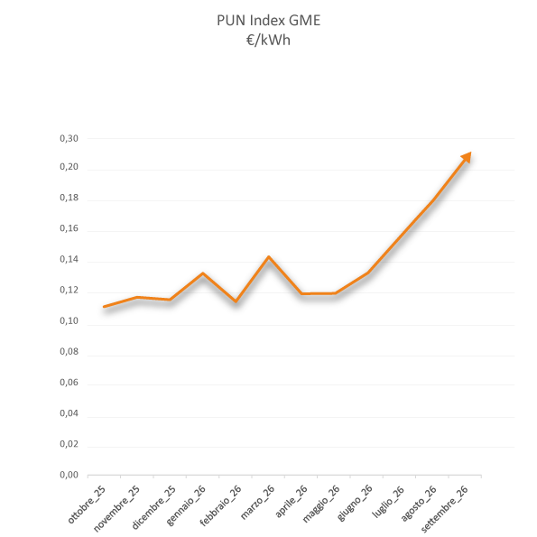 grafico pun offerte luce