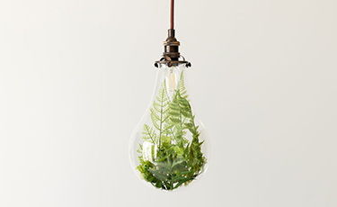 Lampadina con foglie