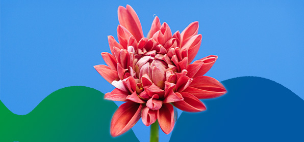 euroflora genova